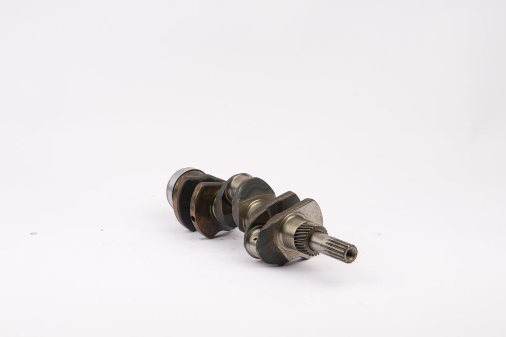 103869-4.jpg