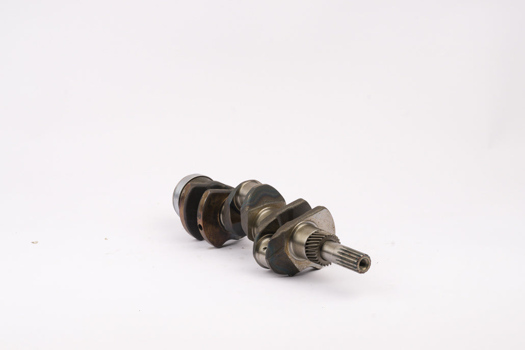 103869-4.jpg