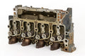 MG_1518-2.jpg